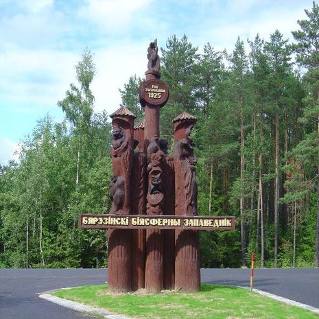 Березинский биосферный заповедник